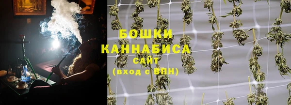 твердый Абаза