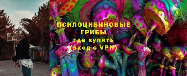 ПСИЛОЦИБИНОВЫЕ ГРИБЫ Абинск