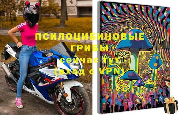 ПСИЛОЦИБИНОВЫЕ ГРИБЫ Абинск